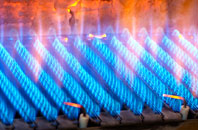 Hallow Heath gas fired boilers